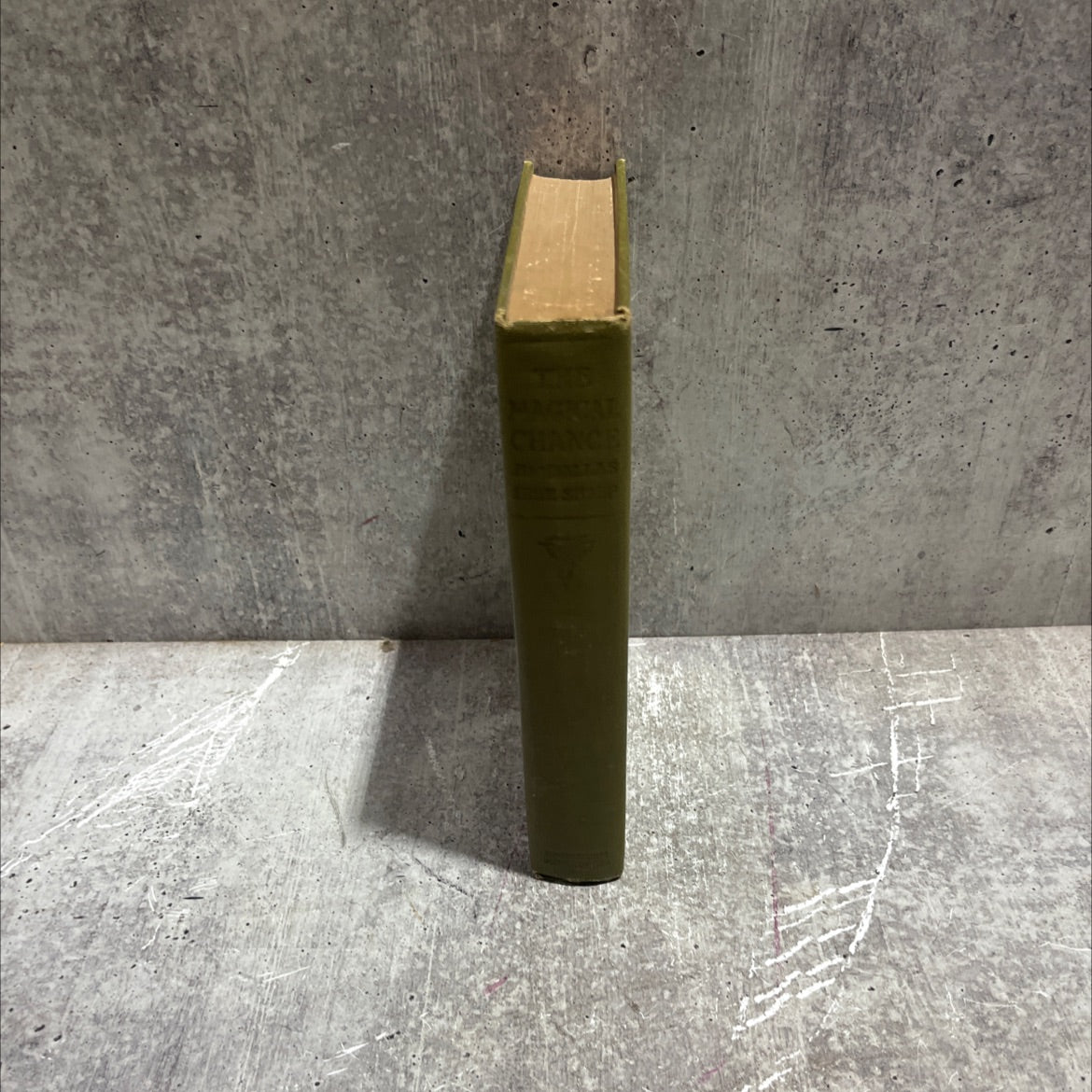 the magical chance book, by dallas lore sharp, 1923 Hardcover image 4