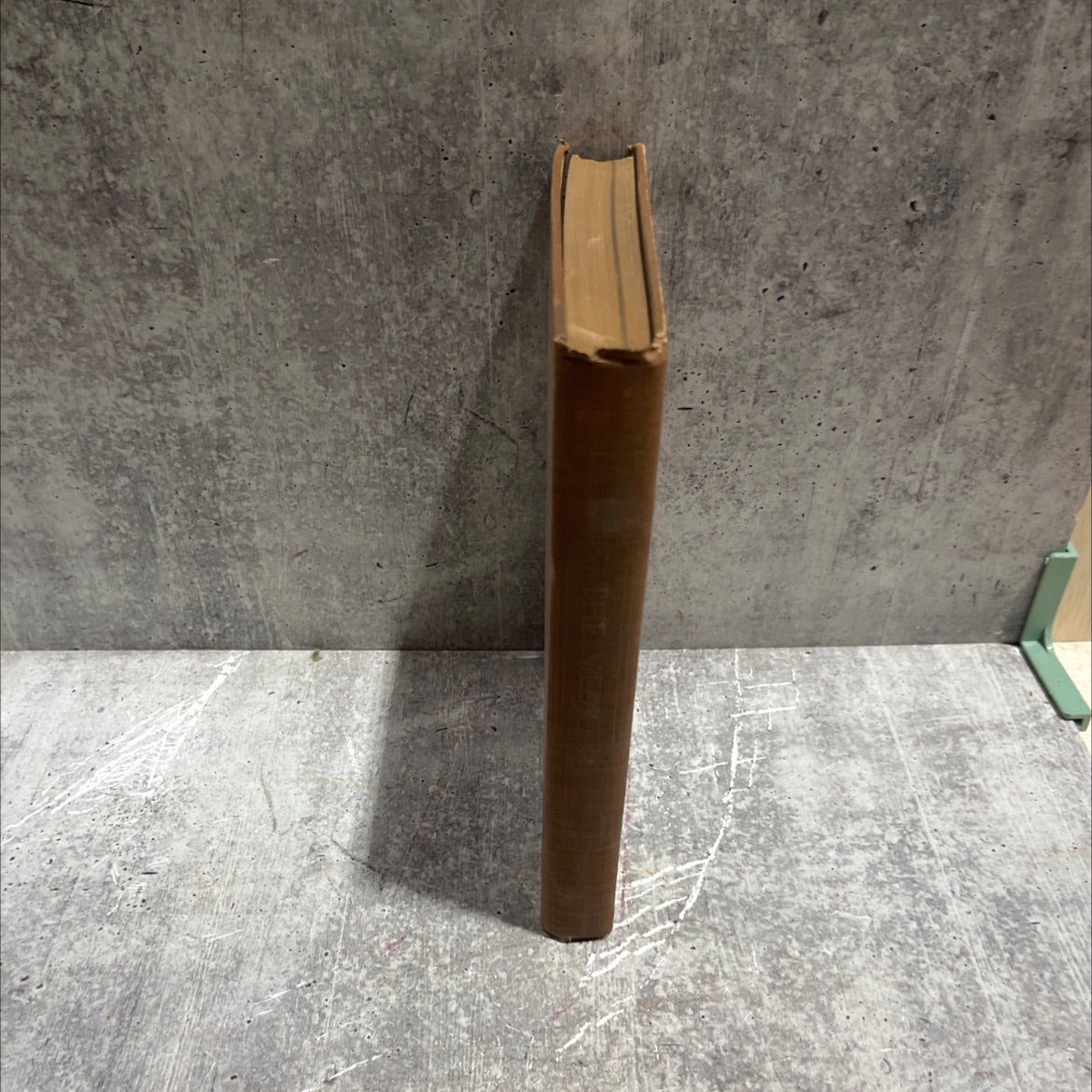 the medici book, by ferdinand schevill, 1949 Hardcover image 4