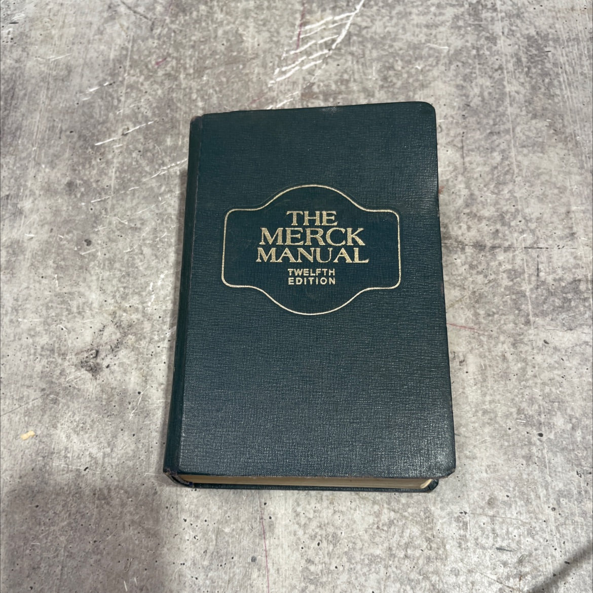 the merck manual of diagnosis and therapy book, by david n. holvey