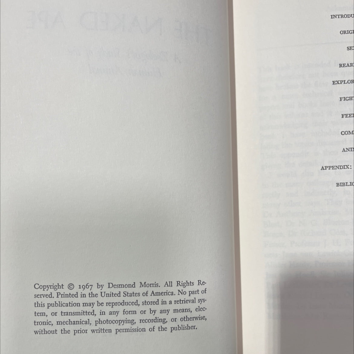 the naked ape a zoologist's study of the human animal book, by desmond morris, 1967 Hardcover image 3