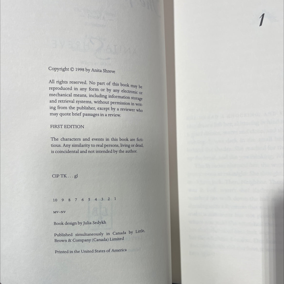 the pilot's wife book, by anita shreve, 1998 Paperback image 3