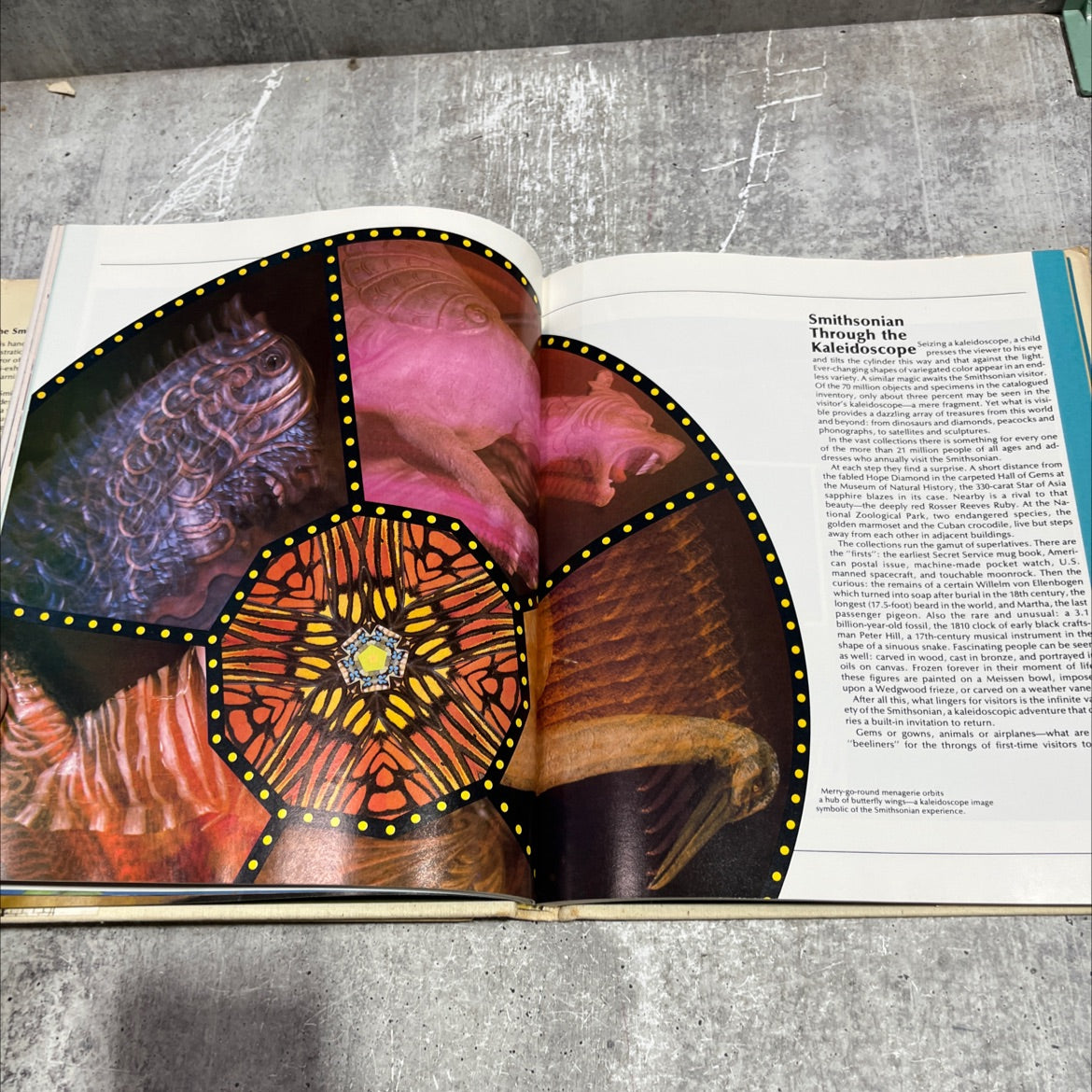 the smithsonian experience science-history-the arts... the treasures of the nation book, by unknown, 1977 Hardcover image 4