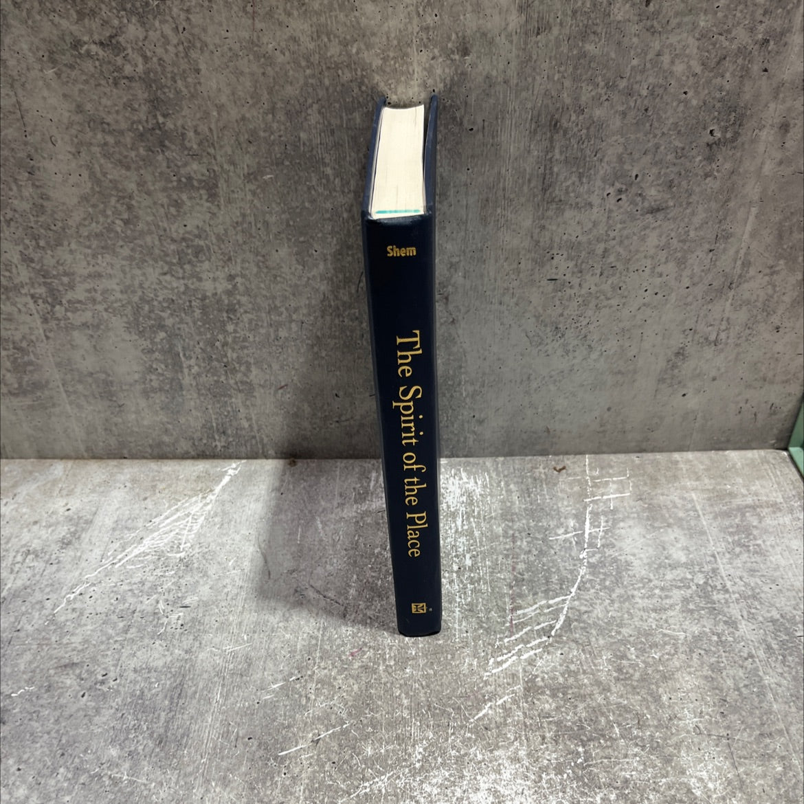 the spirit of the place book, by Samuel Shem, 2008 Hardcover image 4