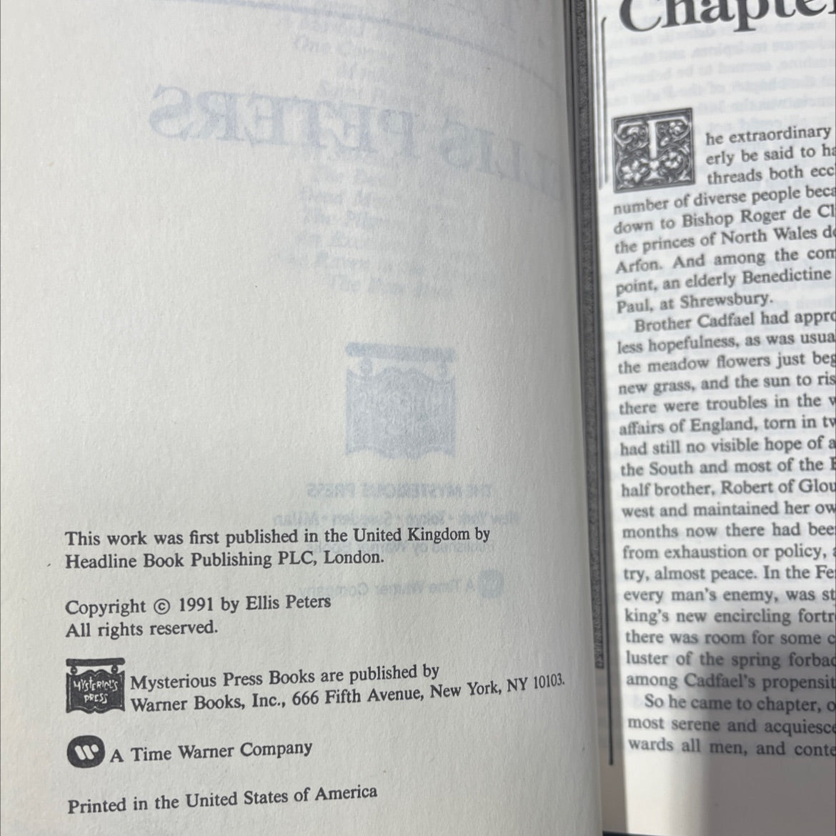 the summer of the danes book, by ellis peters, 1991 Hardcover image 3