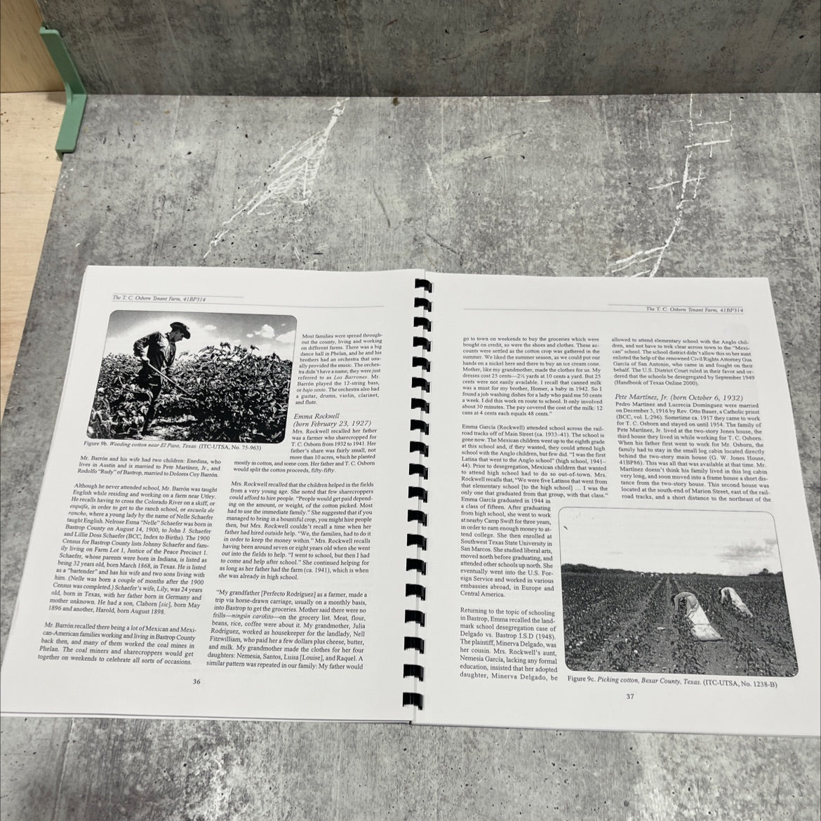 the t. c. osborn tenant farm, 41bp314: an early sharecropper site in bastrop county, texas book, by José E. Zapata, image 4