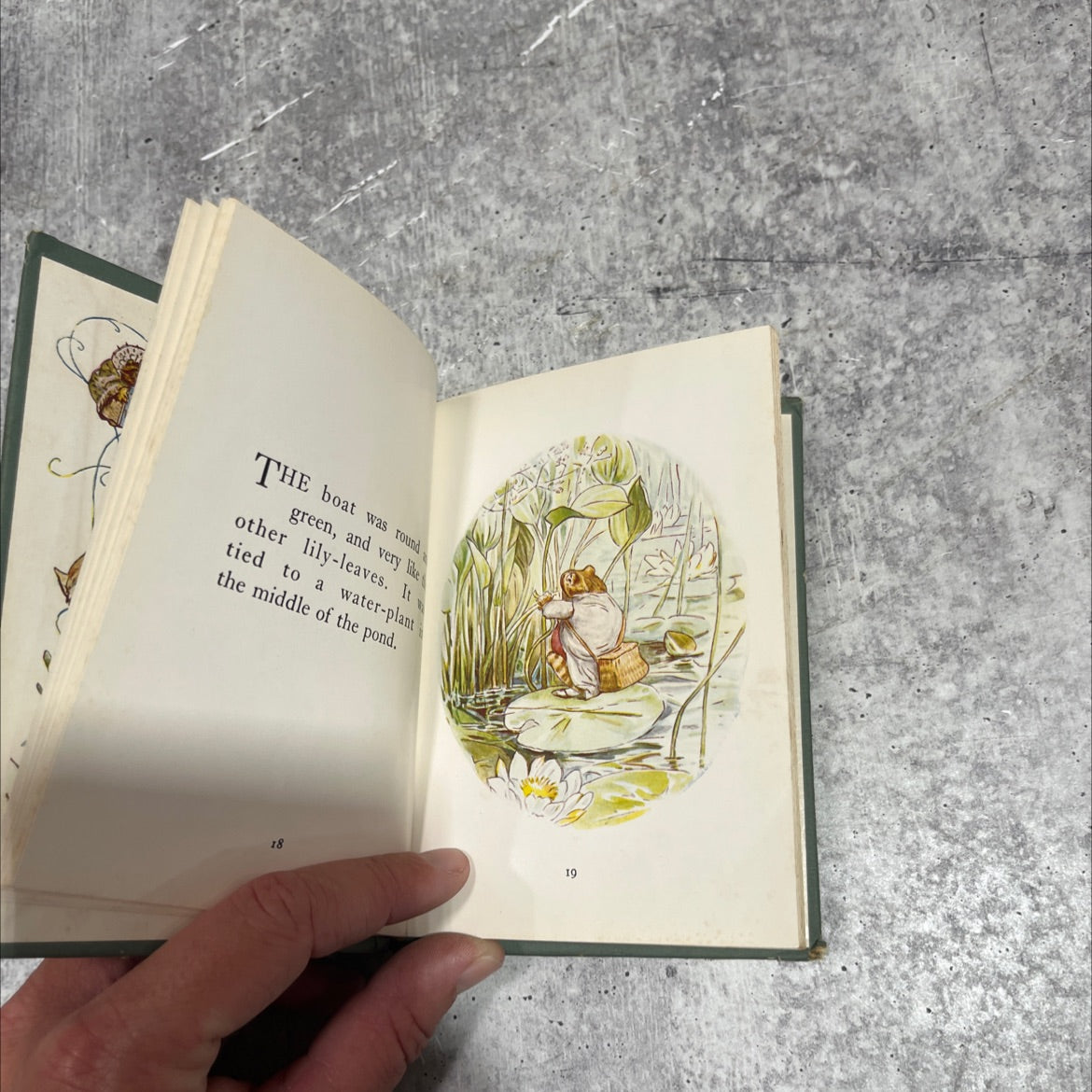 the tale of mr. jeremy fisher book, by beatrix potter, 1934 Hardcover image 4