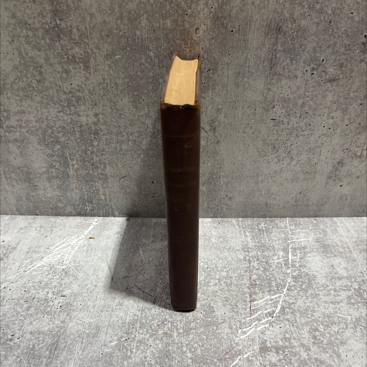 the townsman book, by John Sedges, 1945 Hardcover image 4