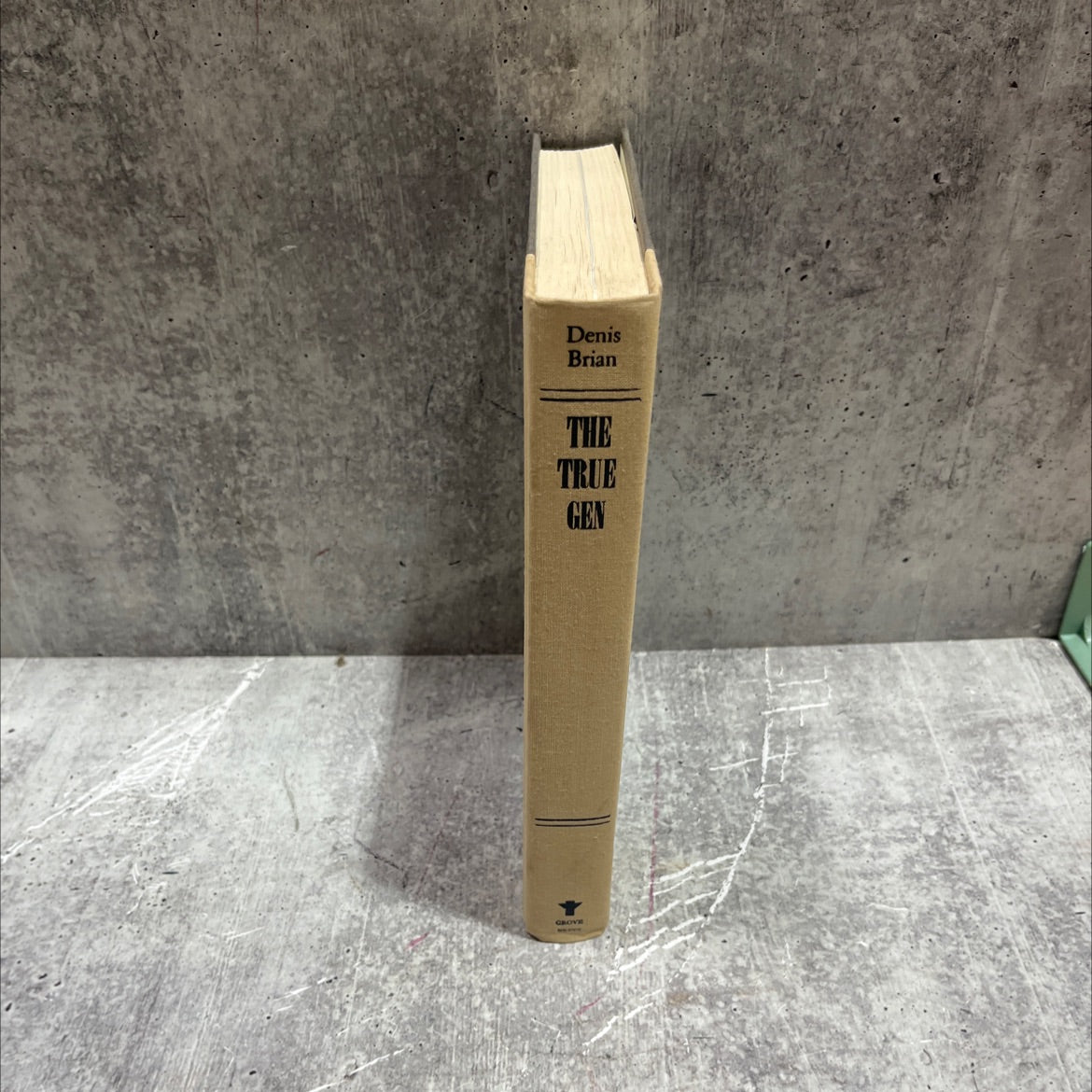 the true gen book, by Denis Brian, 1988 Hardcover image 4