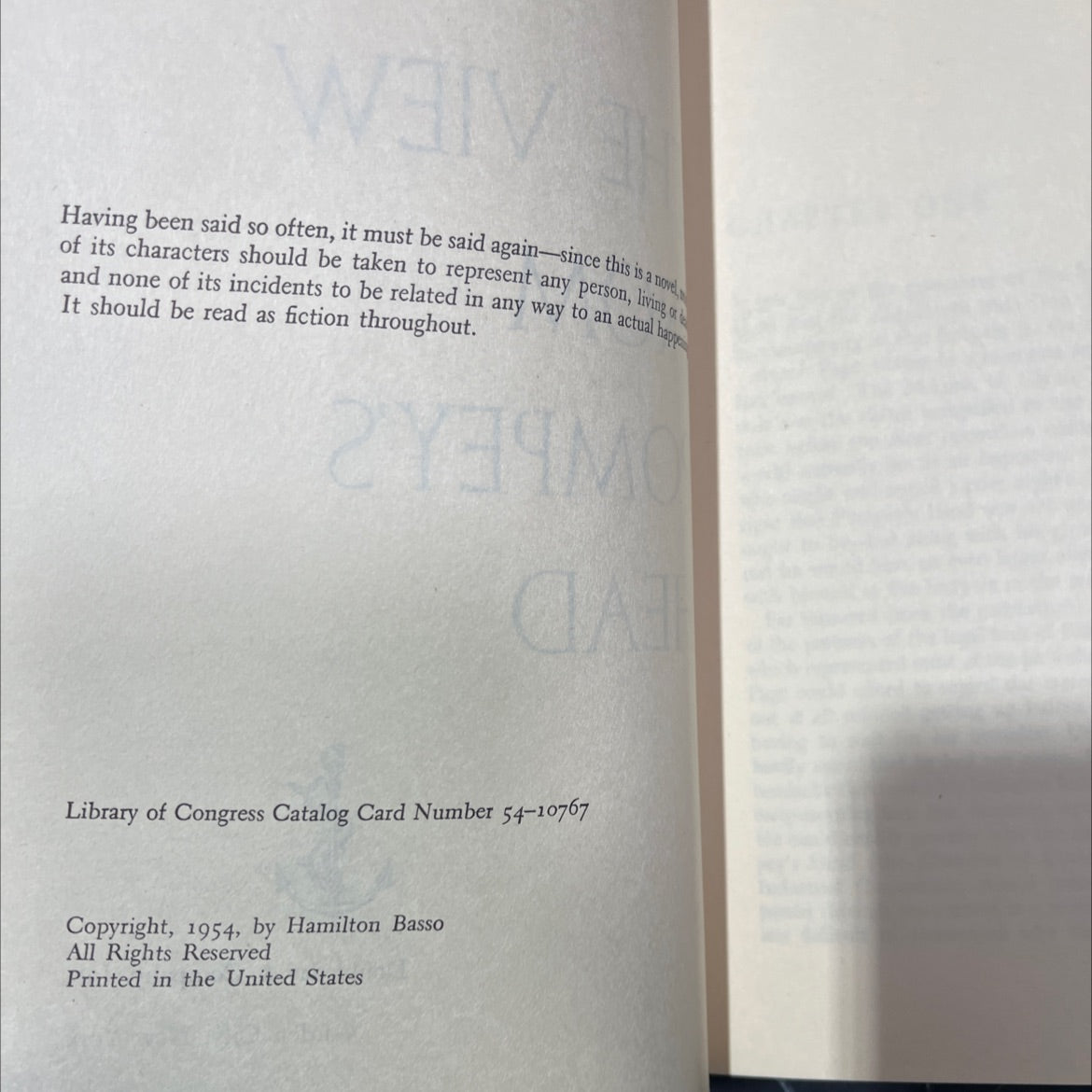 the view from pompey's head book, by Hamilton Basso, 1954 Hardcover image 3