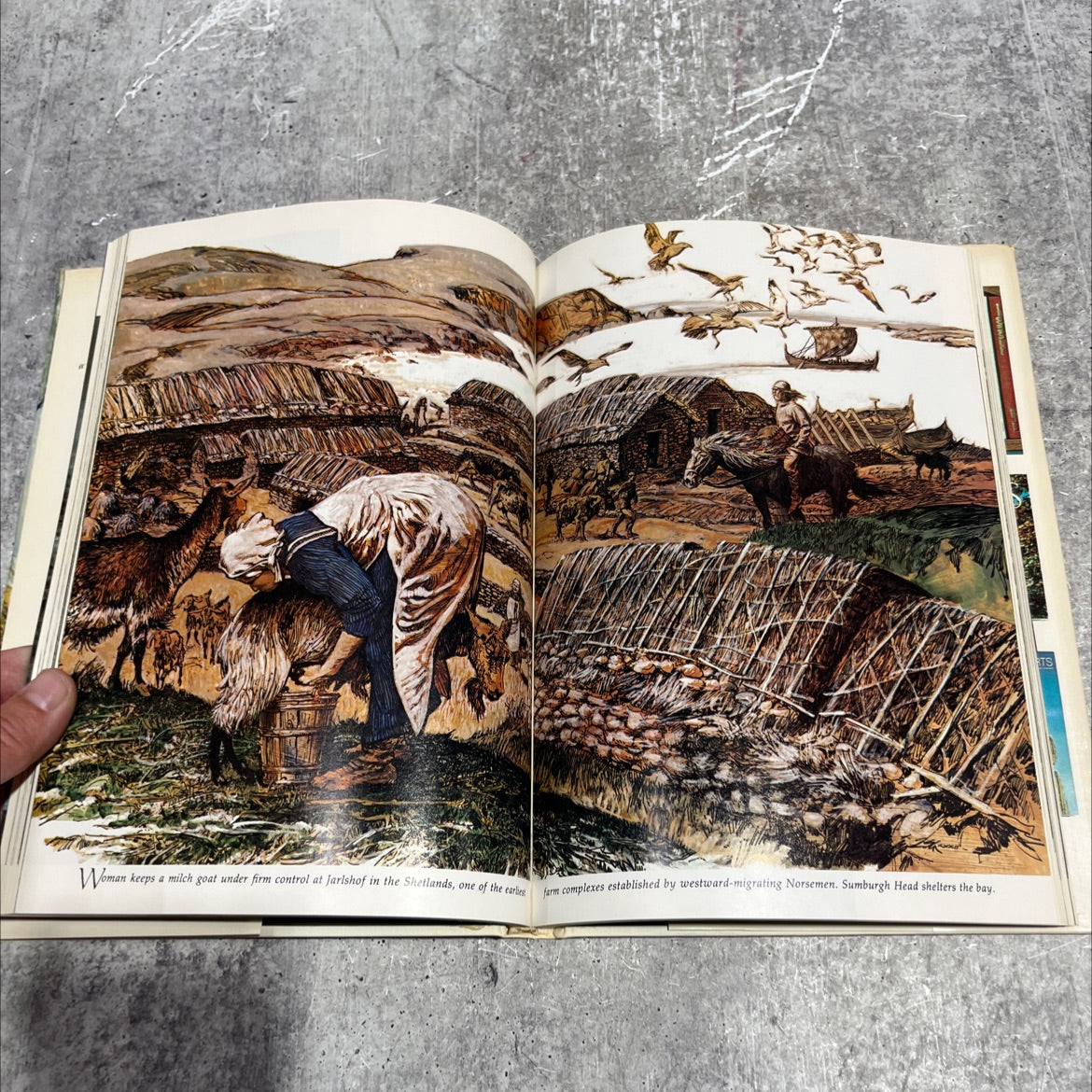 the vikings book, by howard la fay, 1972 Hardcover image 4