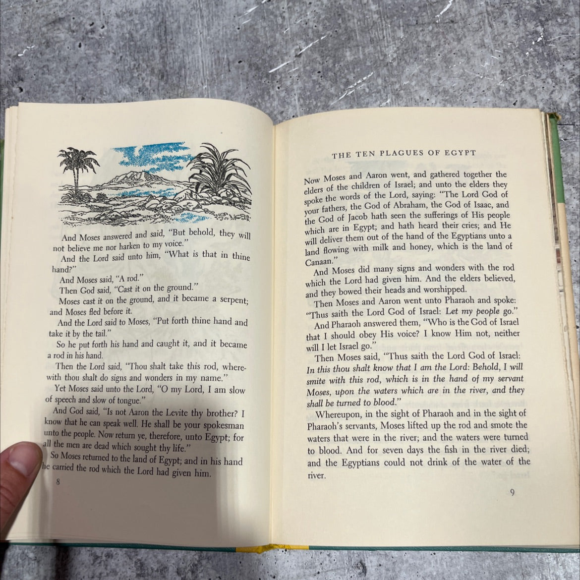 the wonderful story of moses book, by mary macnab, 1959 Hardcover image 4