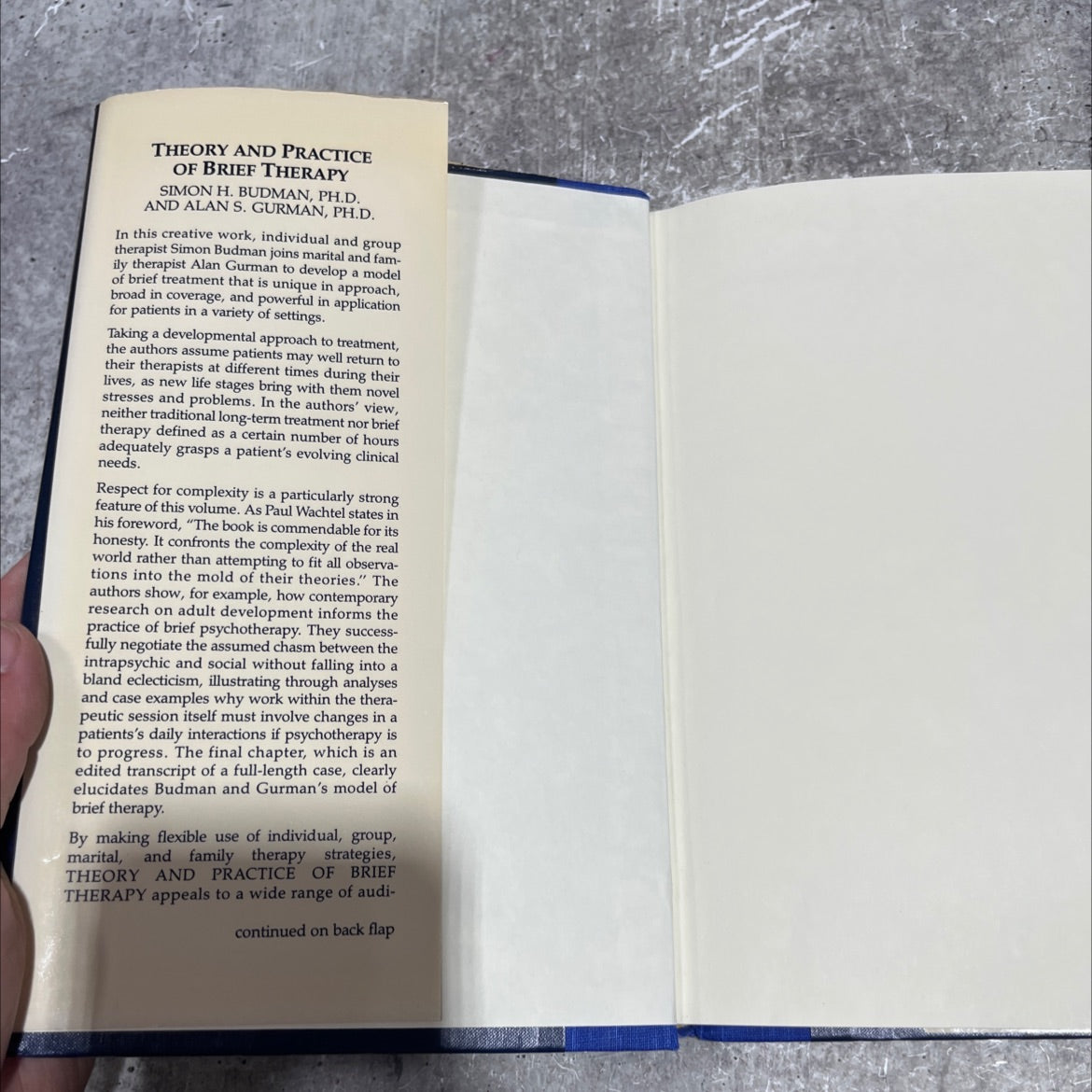 theory and practice of brief therapy book, by Simon H. Budman, Alan S. Gurman, 1988 Hardcover image 4