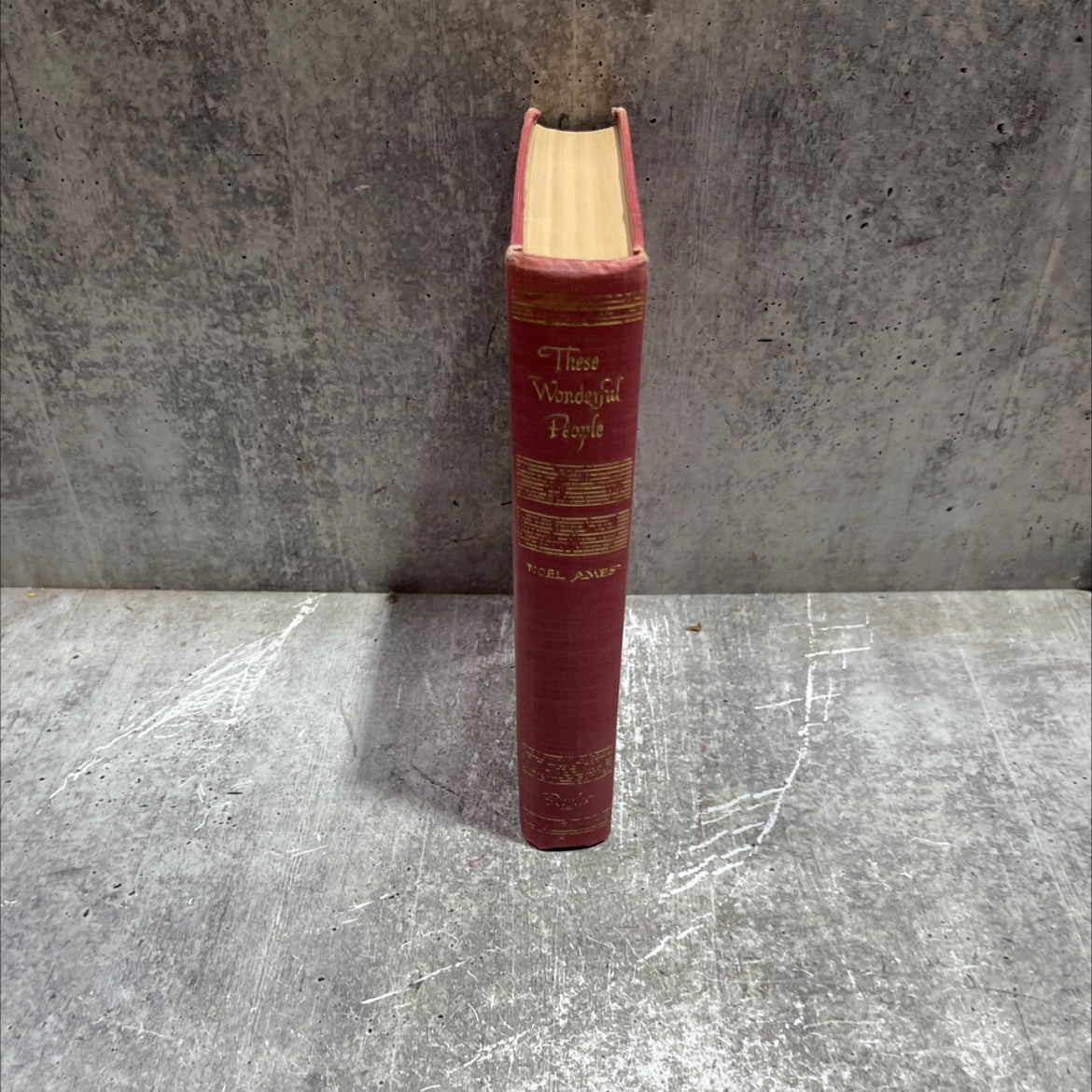 these wonderful people intimate moments in their lives book, by noel ames, 1947 Hardcover image 4