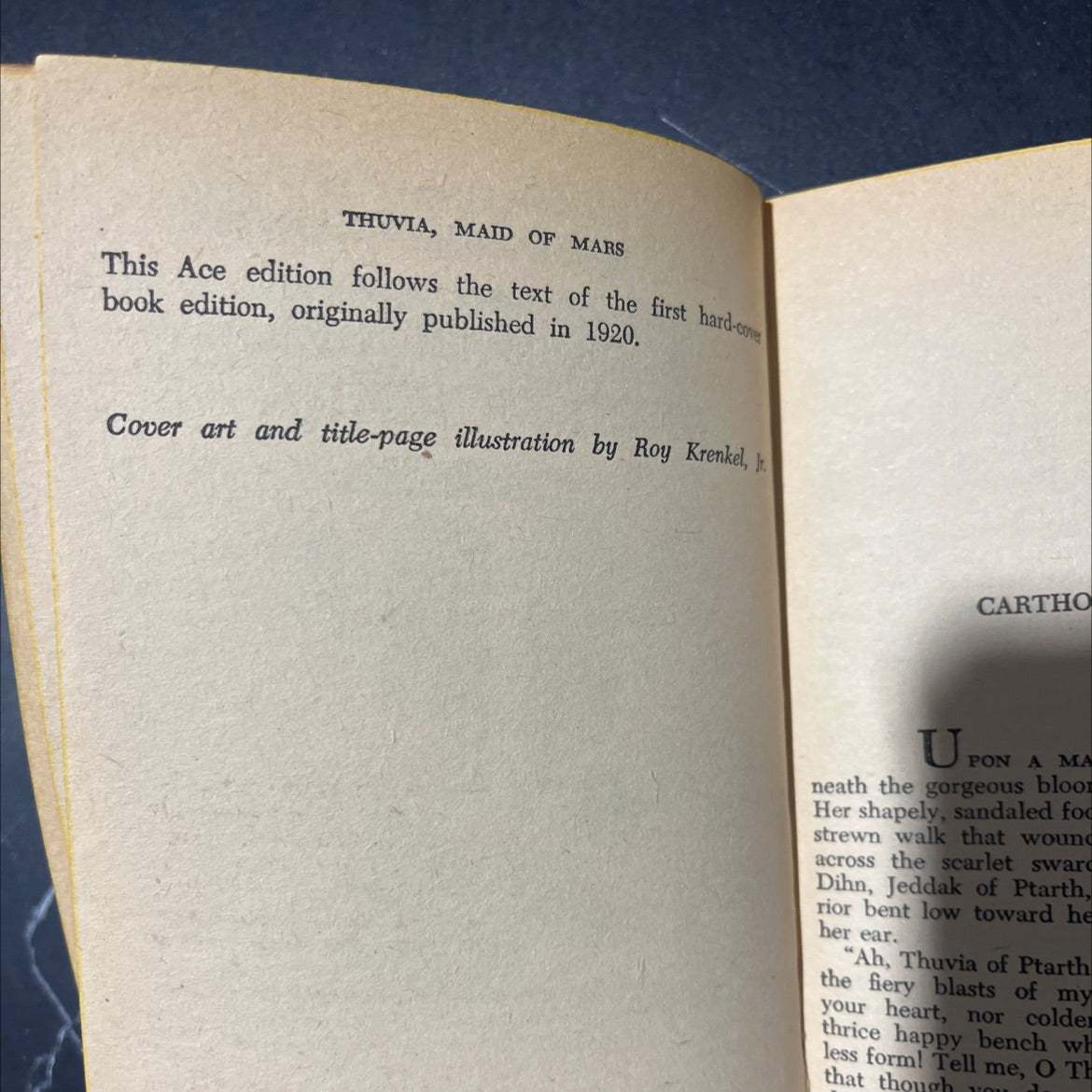 thuvia, maid of mars book, by edgar rice burroughs, 1920 Paperback image 3