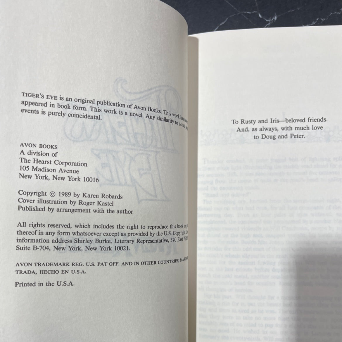 tiger's eye book, by karen robards, 1989 Hardcover image 3