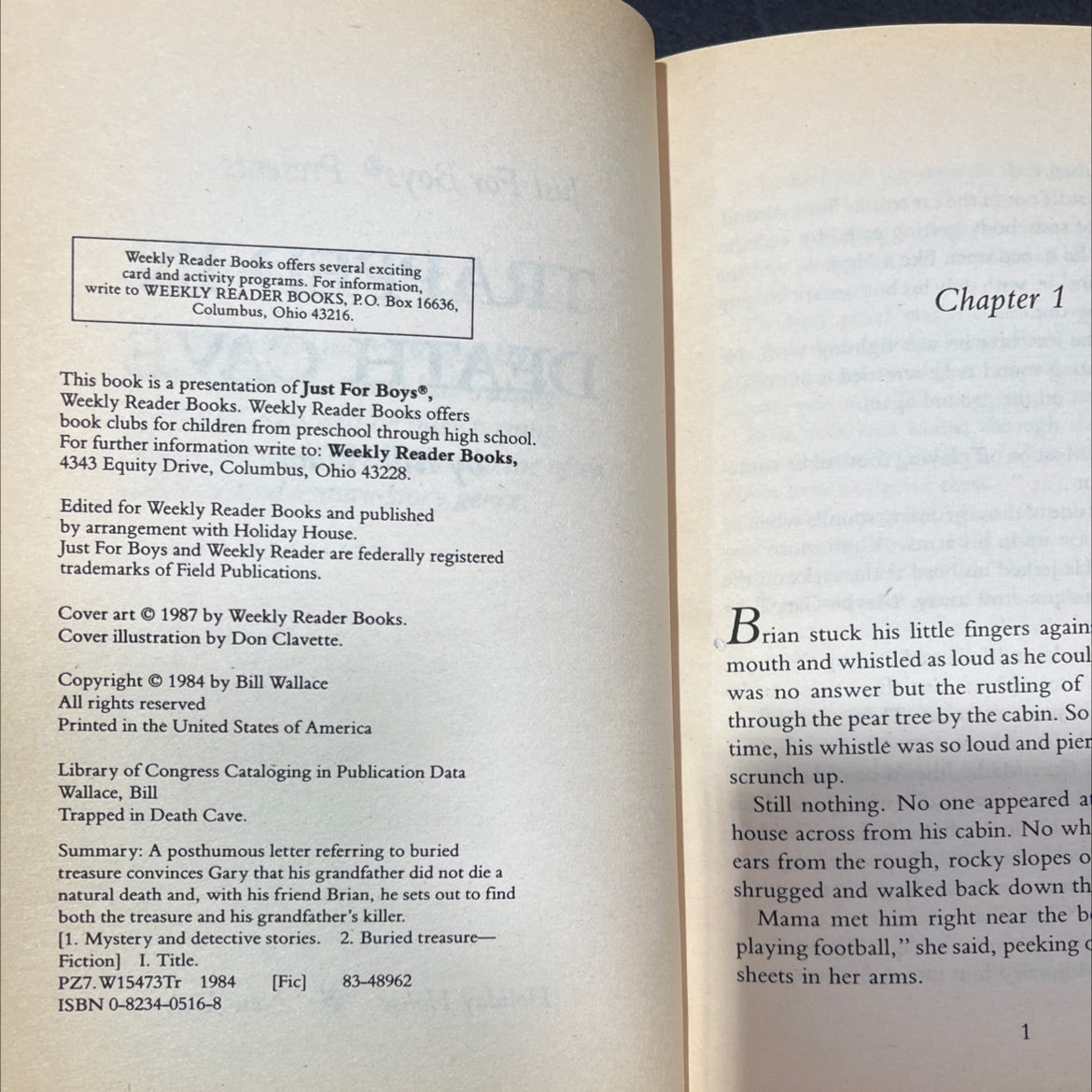 trapped in death cave book, by Bill Wallace, 1984 Hardcover image 3