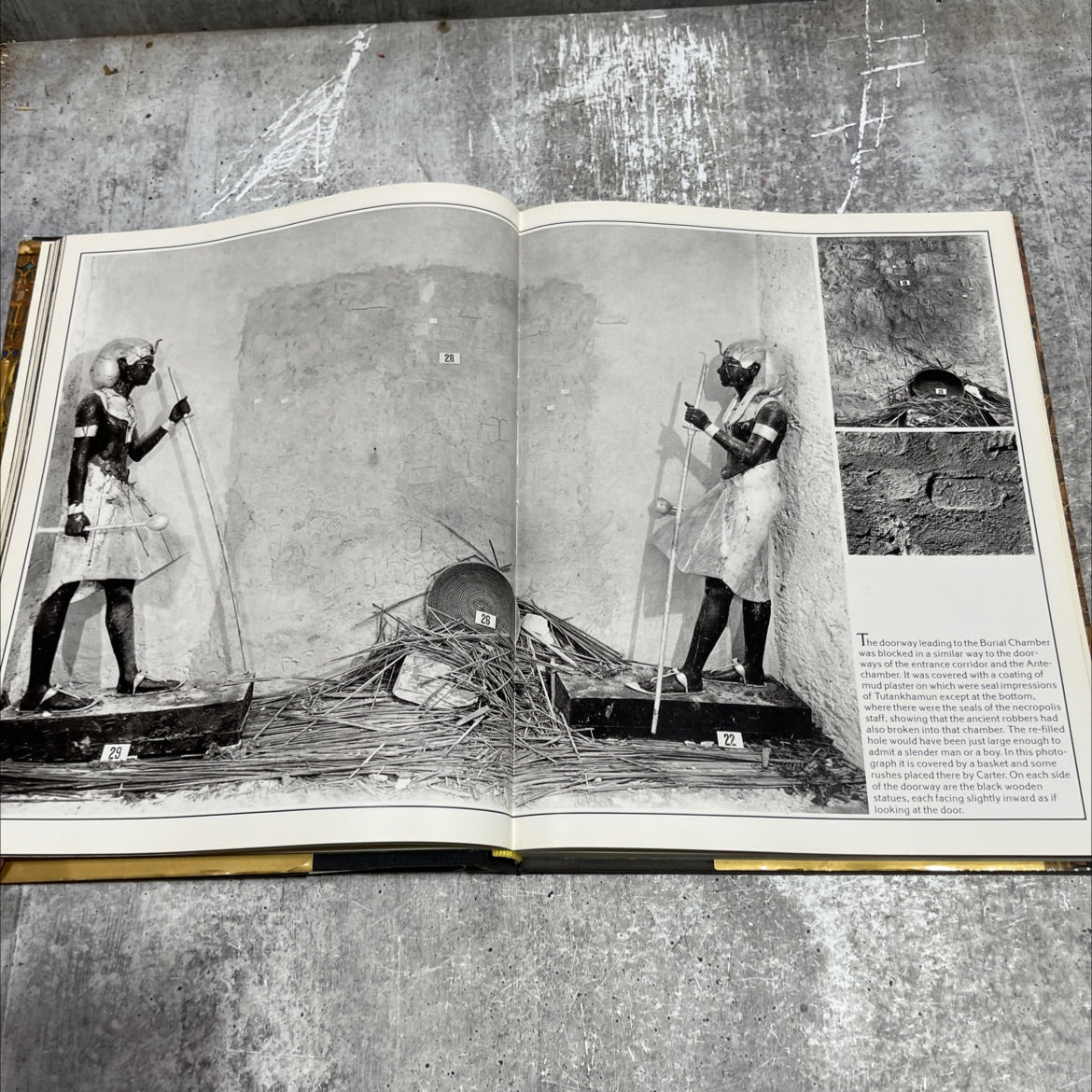 tutankhamun his tomb and its treasures book, by i.e.s. edwards, 1977 Hardcover image 4