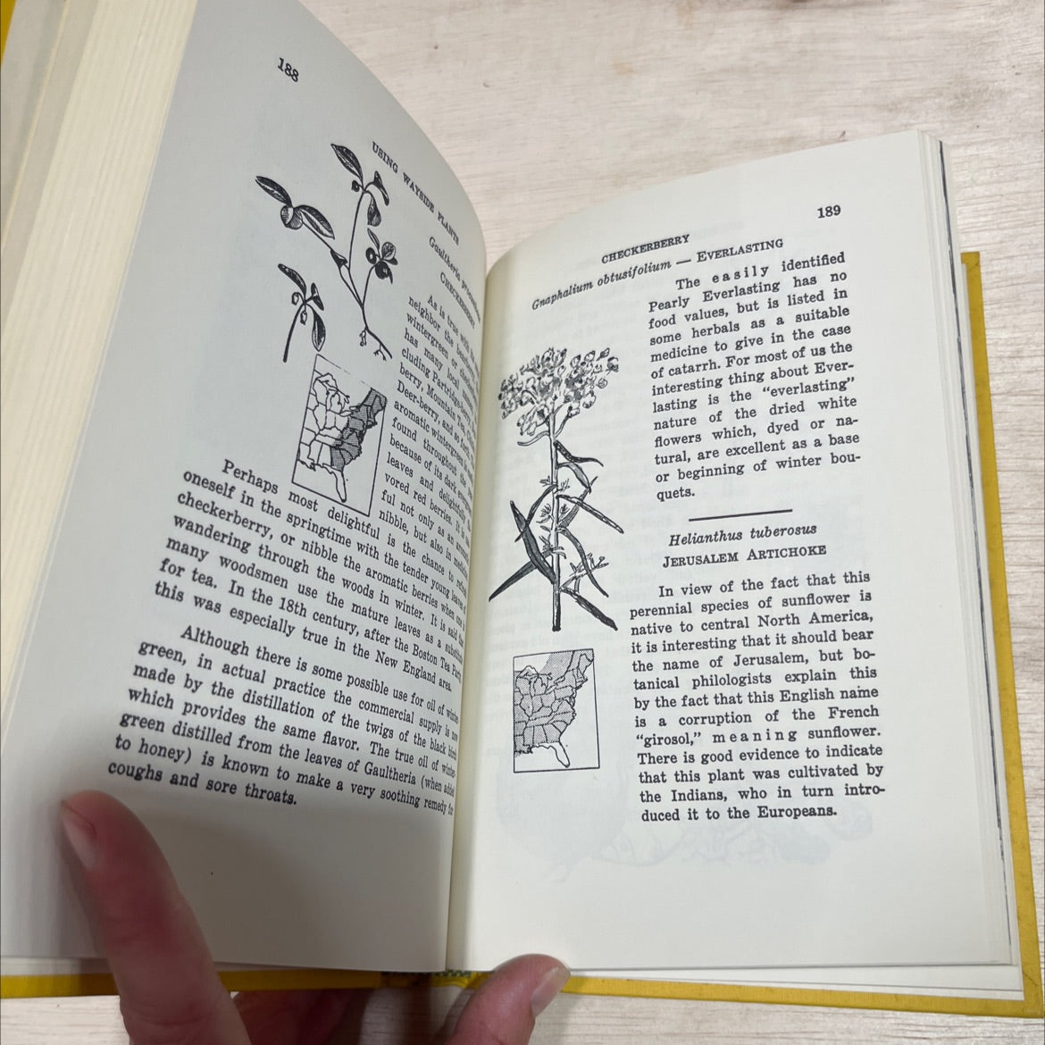 using wayside plants book, by nelson coon ii, 1969 Hardcover image 4