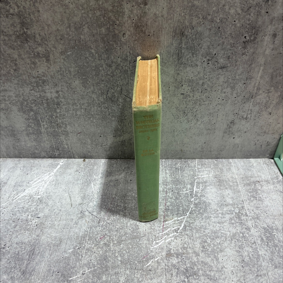 whiteoak brothers jalna book, by mazo de la roche, 1953 Hardcover image 4