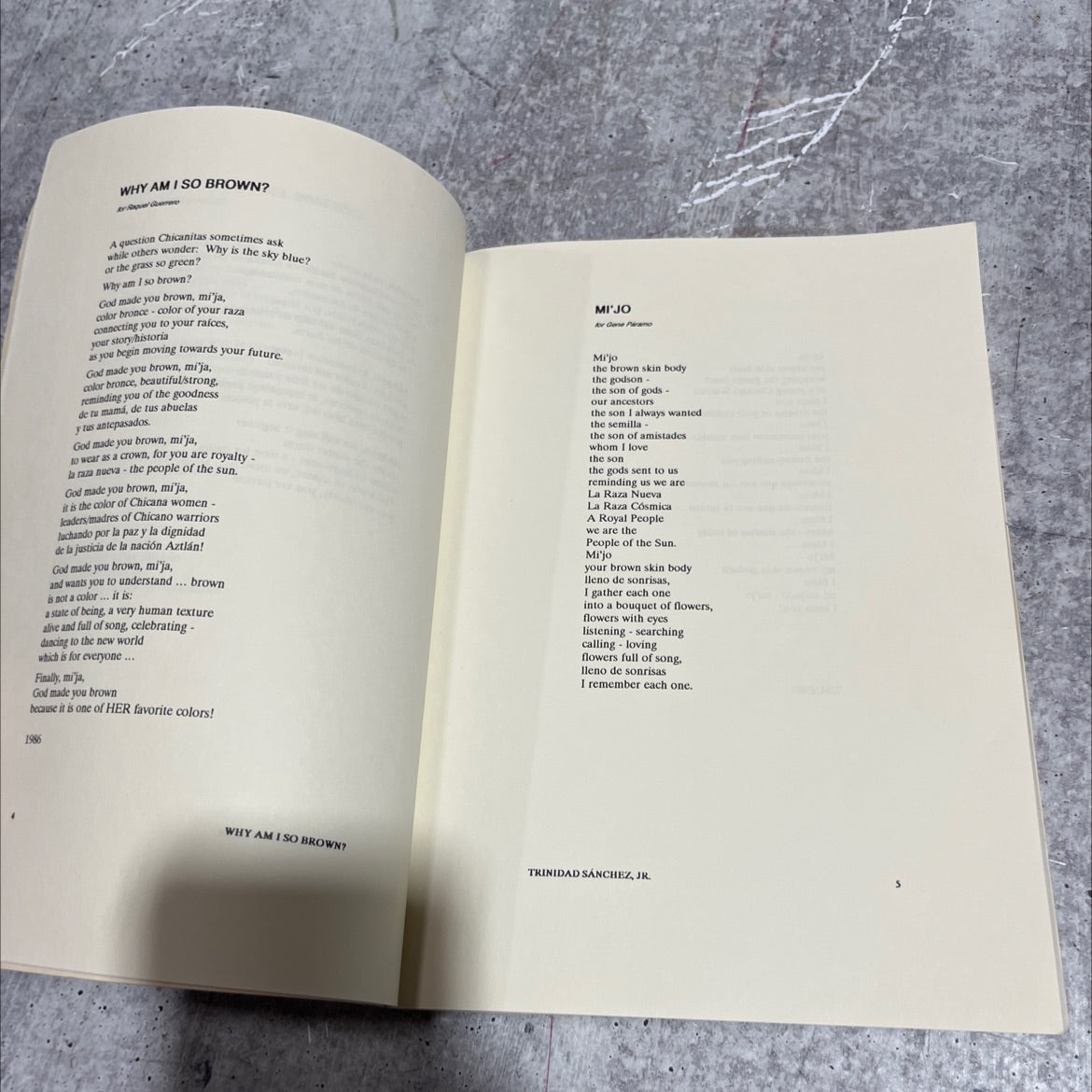 why am i so brown? book, by trinidad sanchez, jr., 1991 Paperback image 4