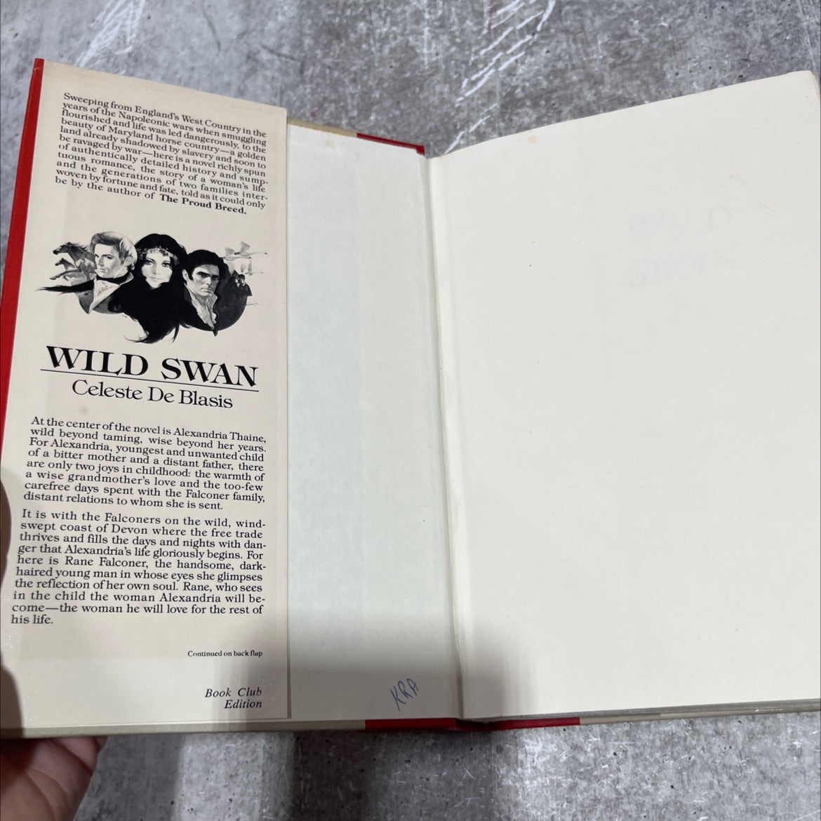 wild swan book, by Celeste De Blasis, 1984 Hardcover image 4