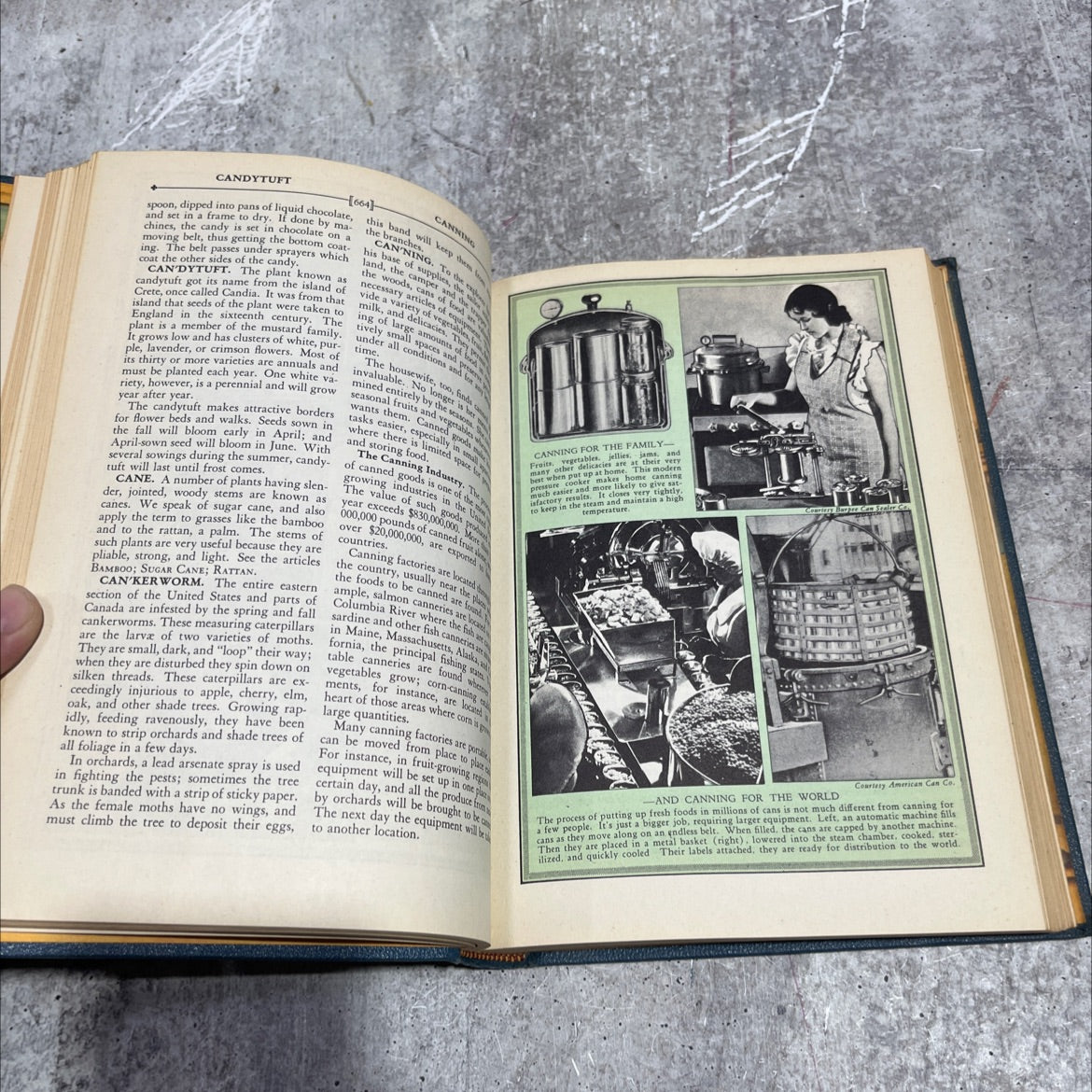 wonderland of knowledge the new pictorial encyclopedia book, by gordon j. laing, harry orrin gillet, roderick m. grant, image 4