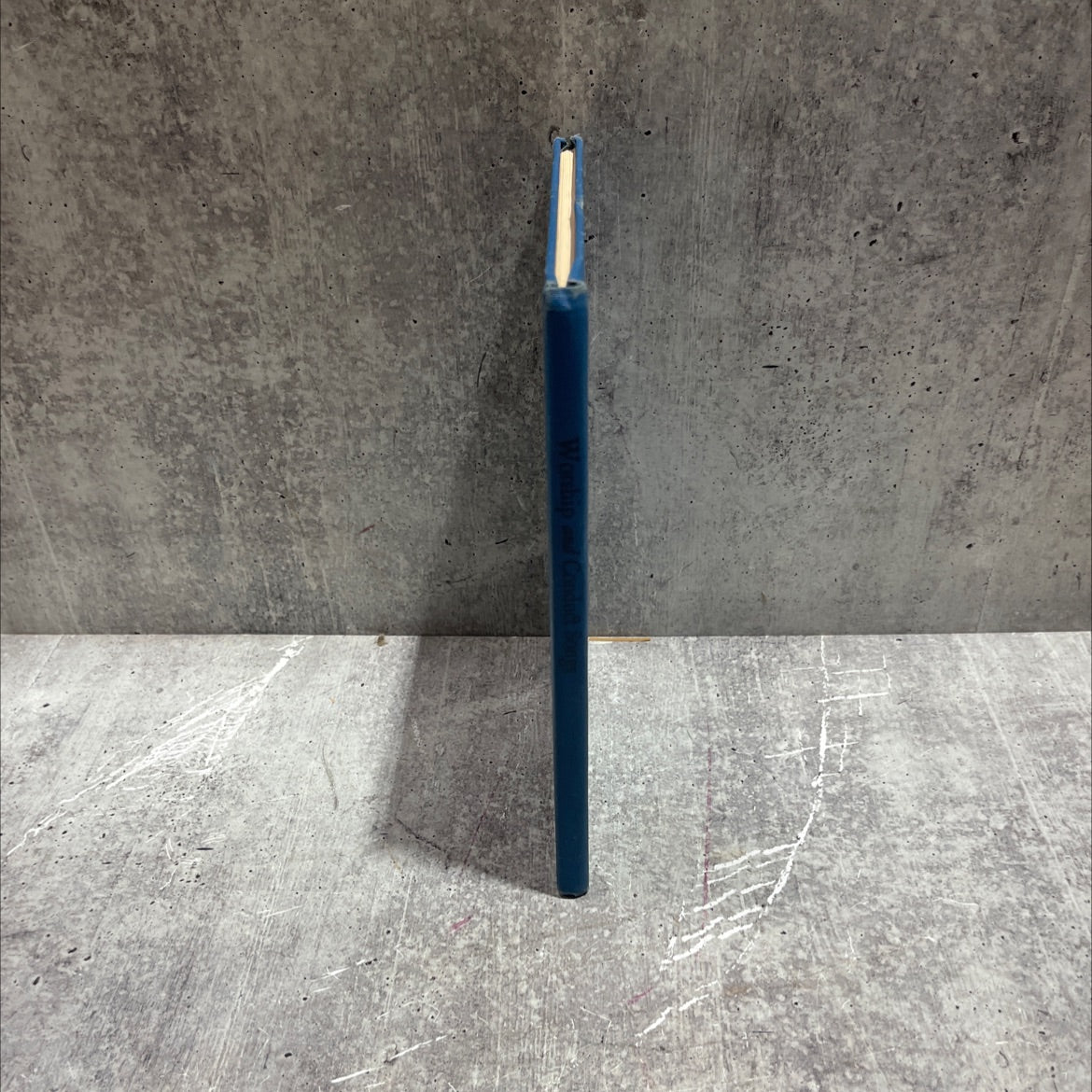 worship and conduct songs for beginners and primaries for use in the church school sunday session week day session image 4