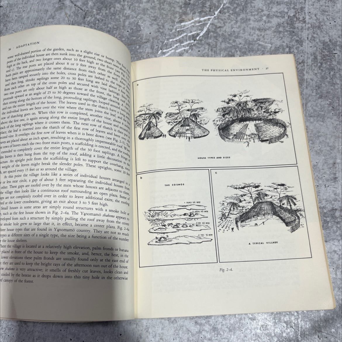 yanomamö the fierce people book, by napoleon a. chagnon, 1968 Paperback image 4