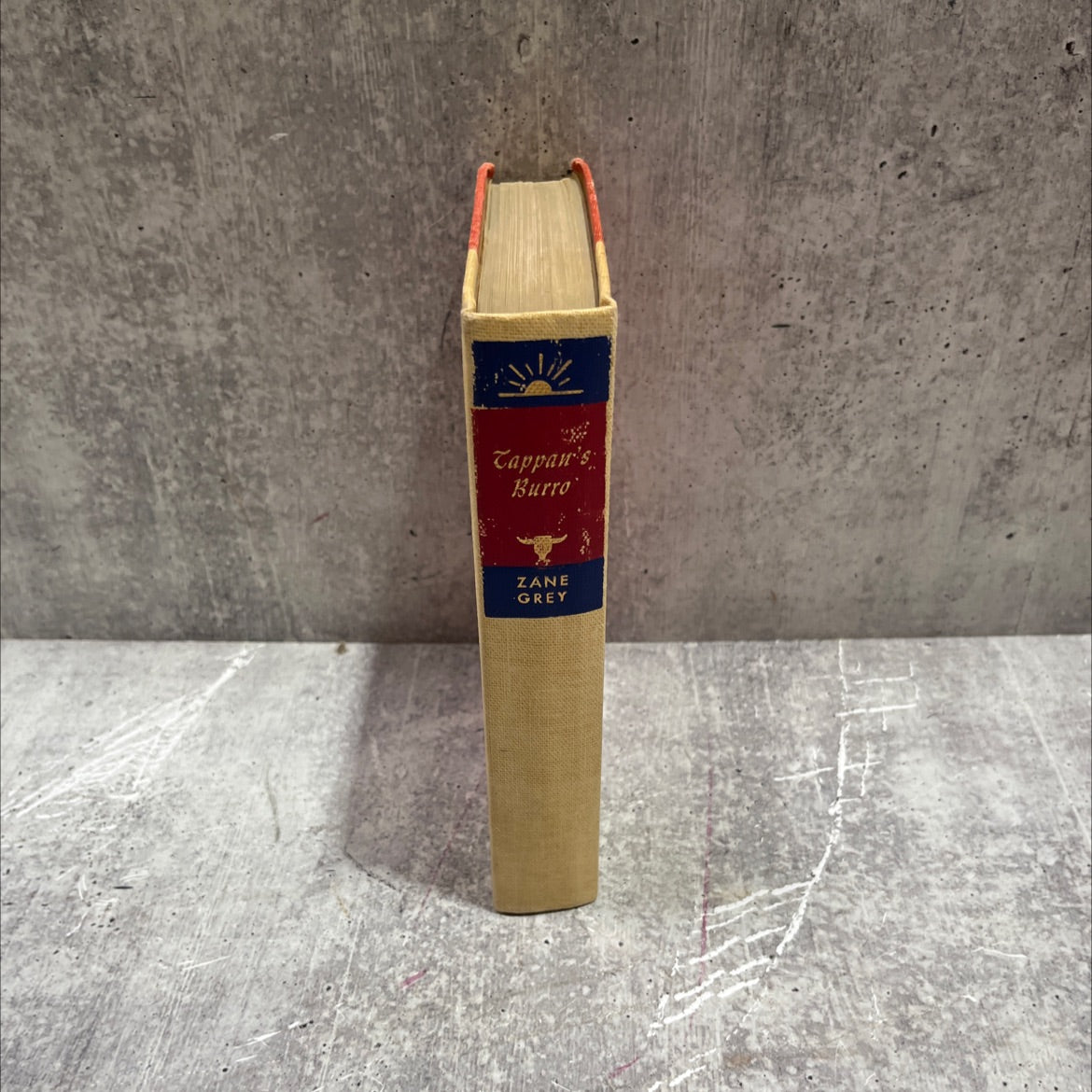 zane grey tappan's burro and other stories book, by zane grey, 1923 Hardcover image 4