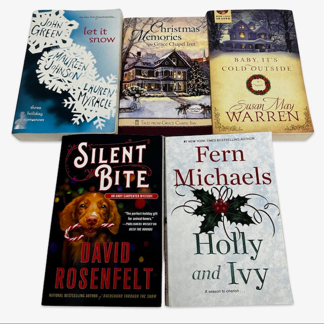 Adult Christmas Book Gift Bundle