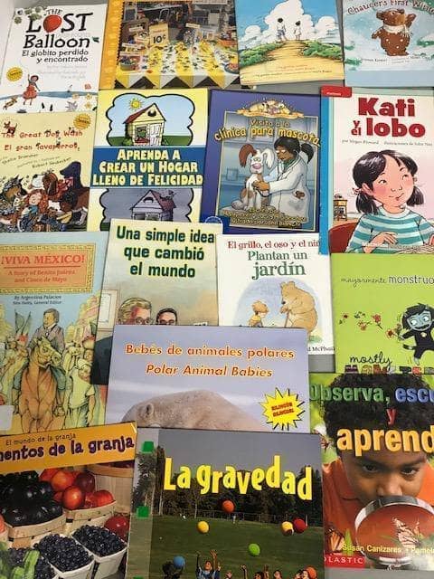 TheBookBundler Bulk Books 20 books / Premium Used Spanish Small Paperbacks