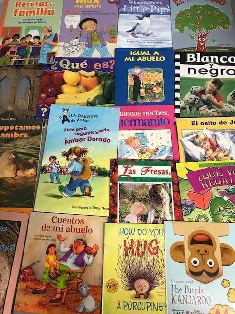 TheBookBundler Bulk Books 20 books / Premium Used Spanish Small Paperbacks