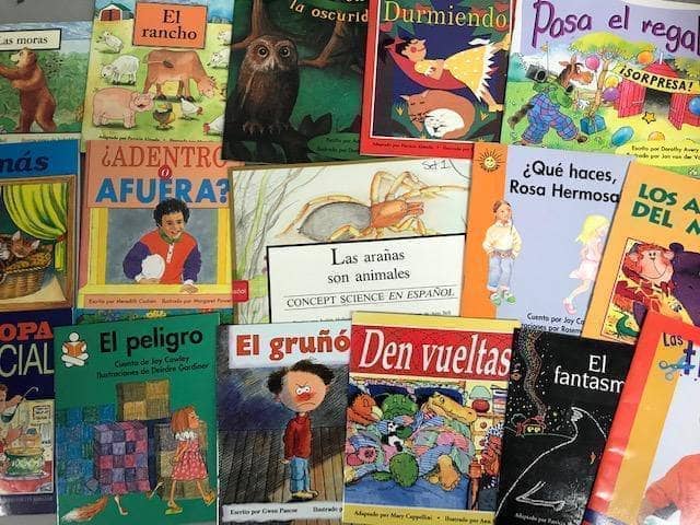 TheBookBundler Bulk Books 20 books / Premium Used Spanish Small Paperbacks