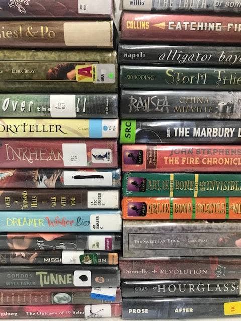 TheBookBundler Bulk Books BEATER Hardcover Young Adult Books YA