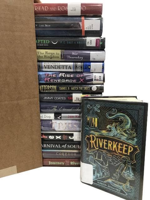 TheBookBundler Bulk Books BEATER Hardcover Young Adult Books YA