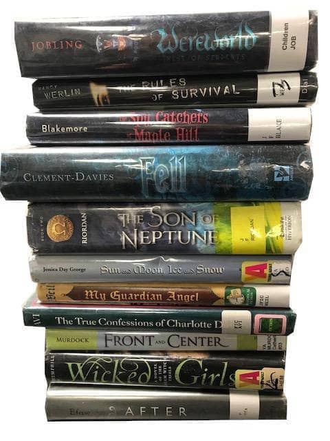 TheBookBundler Bulk Books BEATER YA Young Adult Chapter Books