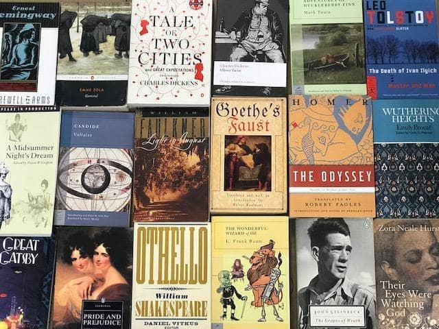 TheBookBundler Bulk Books Classics of Literature Books - Trade Paperback