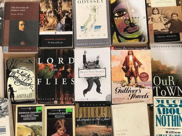 TheBookBundler Bulk Books Classics of Literature Books - Trade Paperback