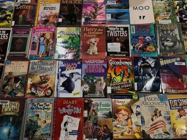 TheBookBundler Pallets of Bulk Books Pallet of bulk kids books <br> BEATER paperback chapter books