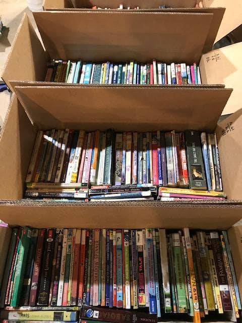 TheBookBundler Pallets of Bulk Books Pallet of bulk kids books <br> BEATER paperback chapter books