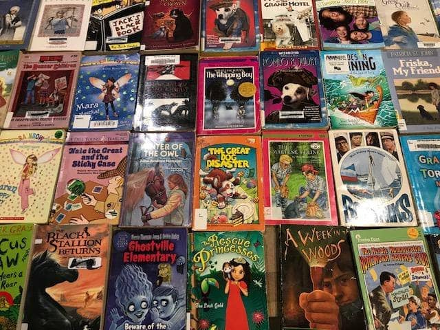 TheBookBundler Pallets of Bulk Books Pallet of bulk kids books <br> BEATER paperback chapter books