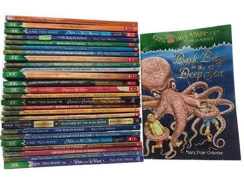 The Magic Tree House Chapter Book Series by Mary Pope Osborne: A Series Overview