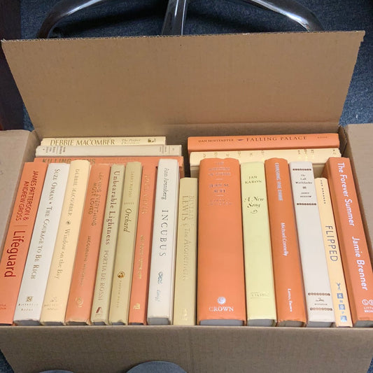 Modern Orange Creamsicle: 1.5 Feet- Books by Color