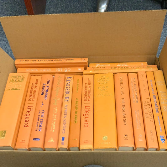 Modern Light Orange Books: 1.5 Feet- Books by Color