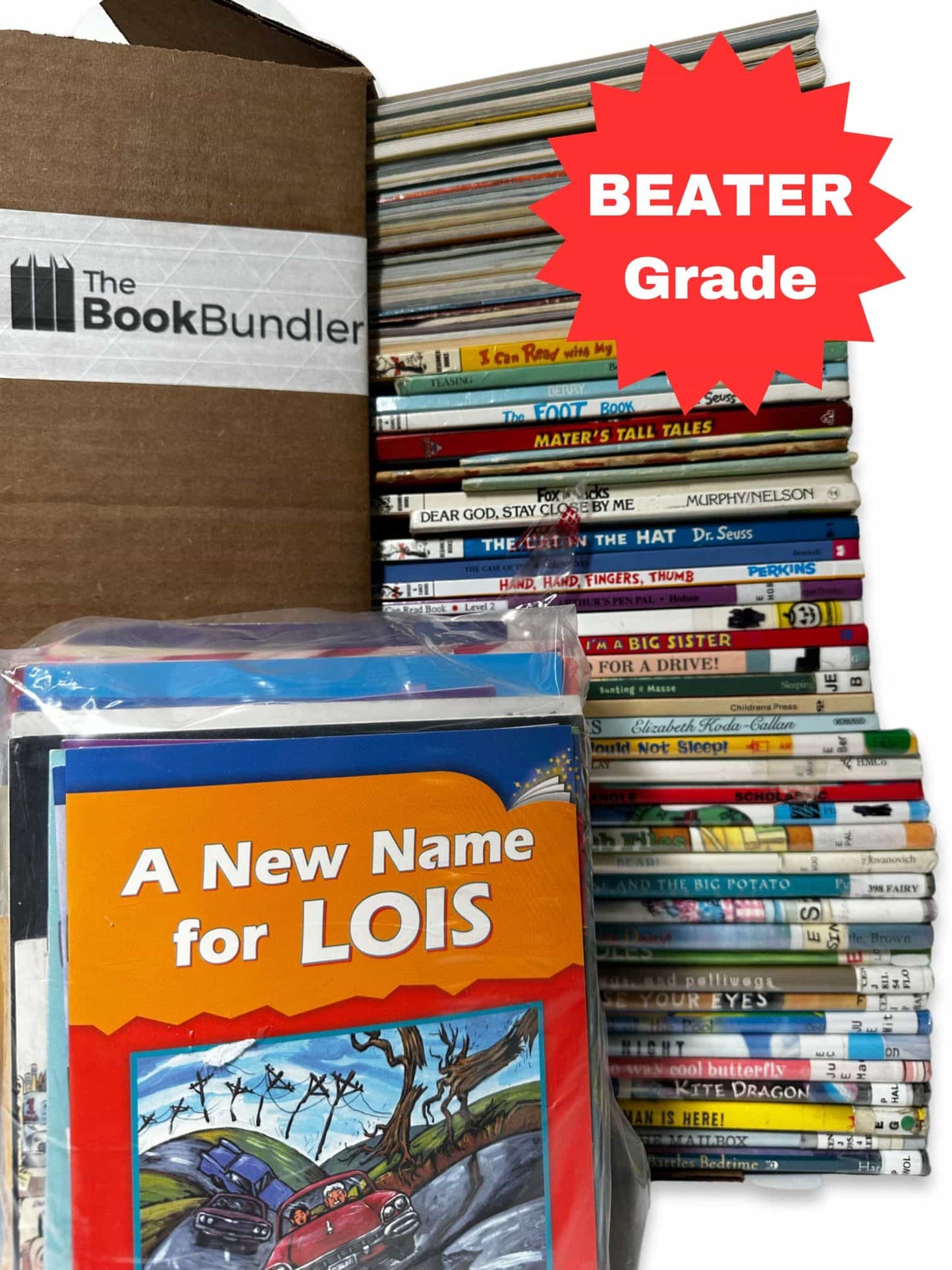 BEATER Learning to Read (Pre-K Mix) - Giant Surprise Box