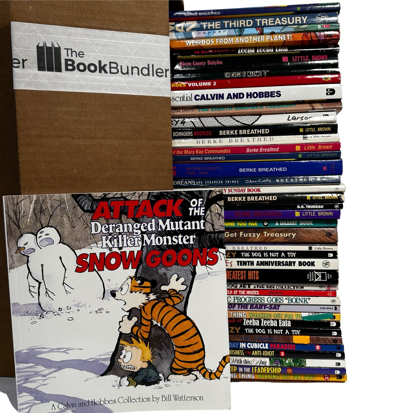 Adult Sunday Comic books bundle