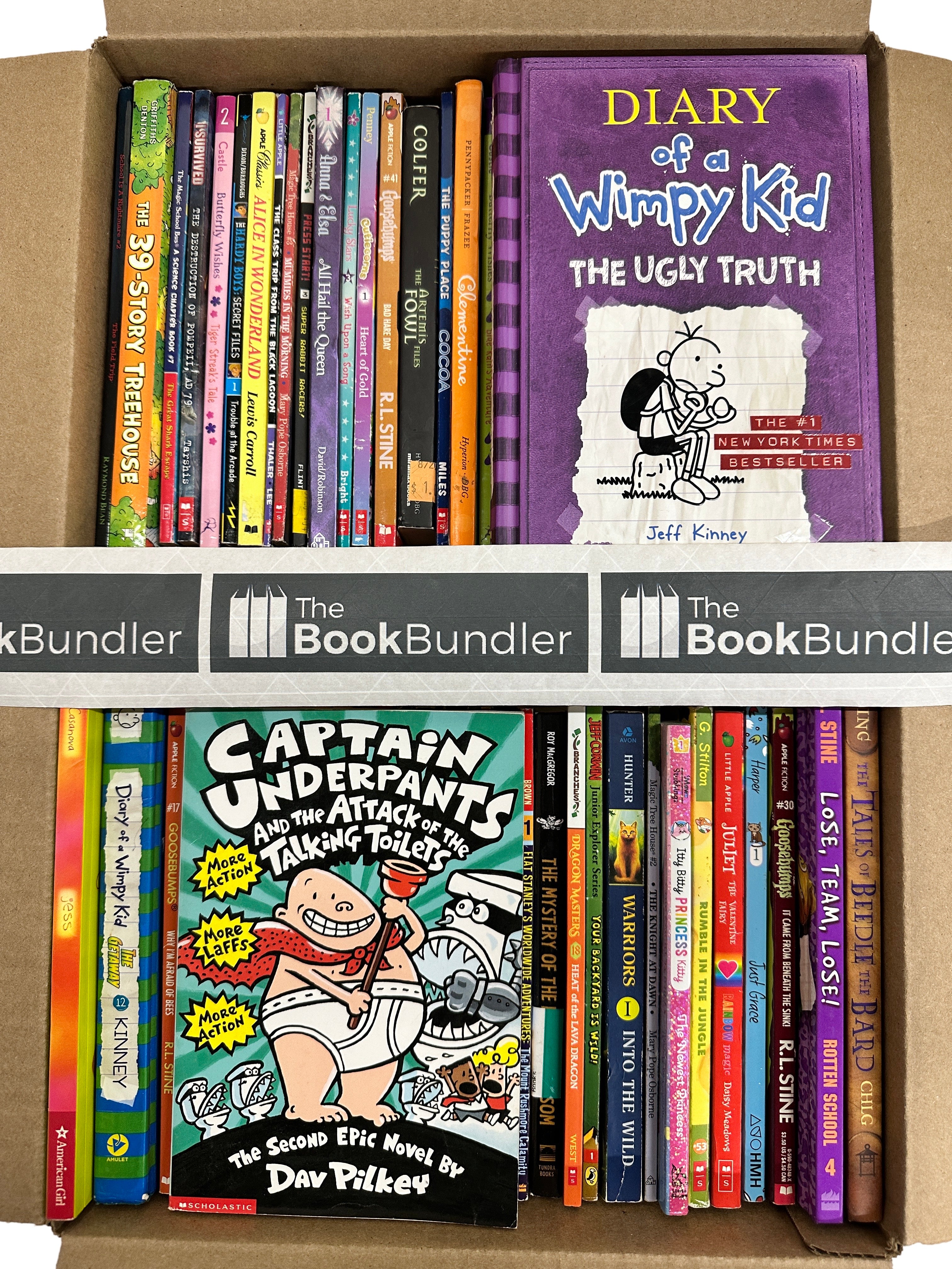 Kids Chapter Book Box - 50 books $45 – TheBookBundler