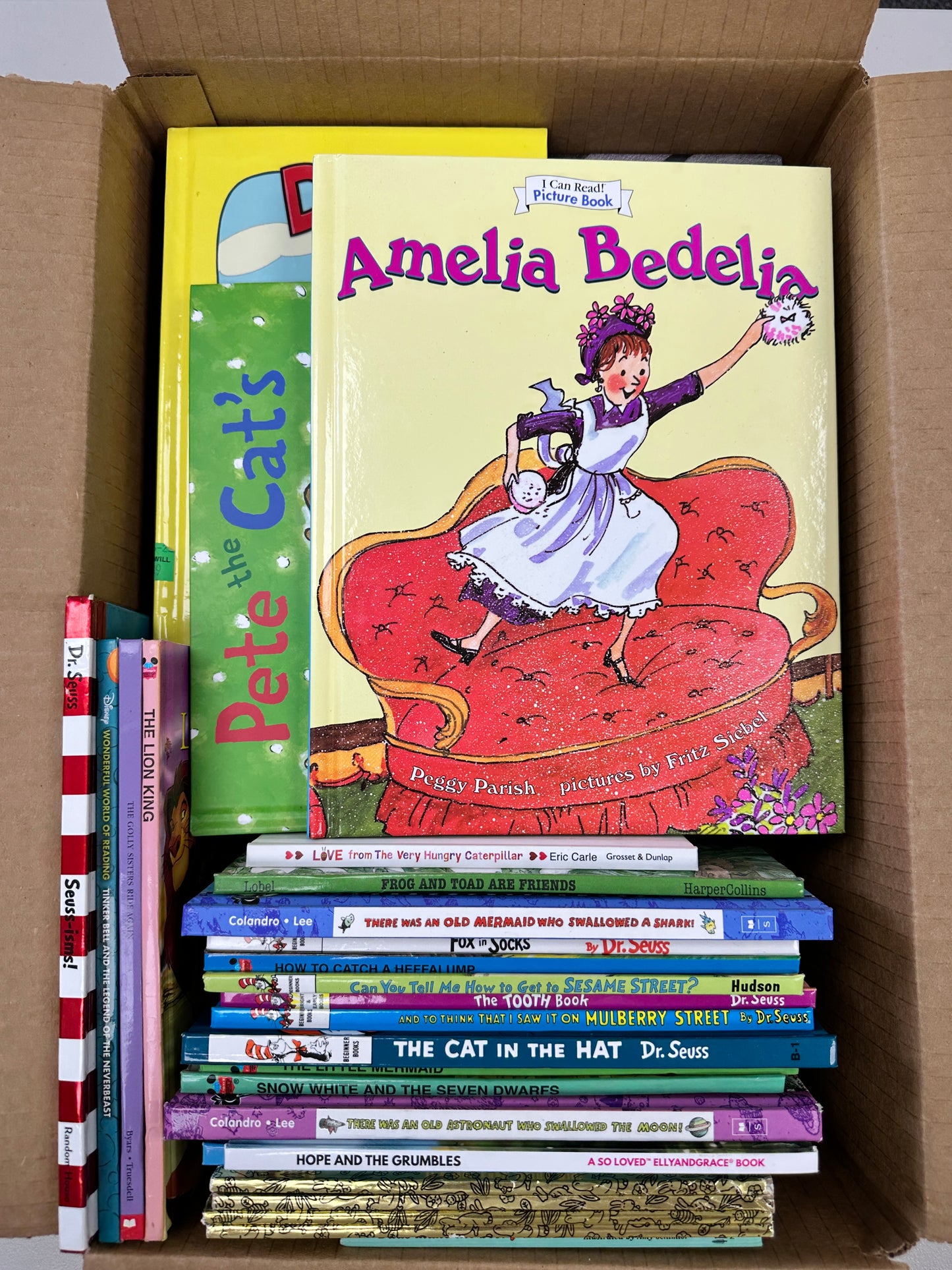 Kids Hardcovers Mixed book box (ages 4-7)