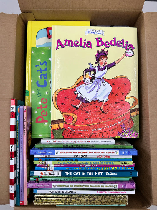 Kids Hardcovers Mixed book box (ages 4-7)