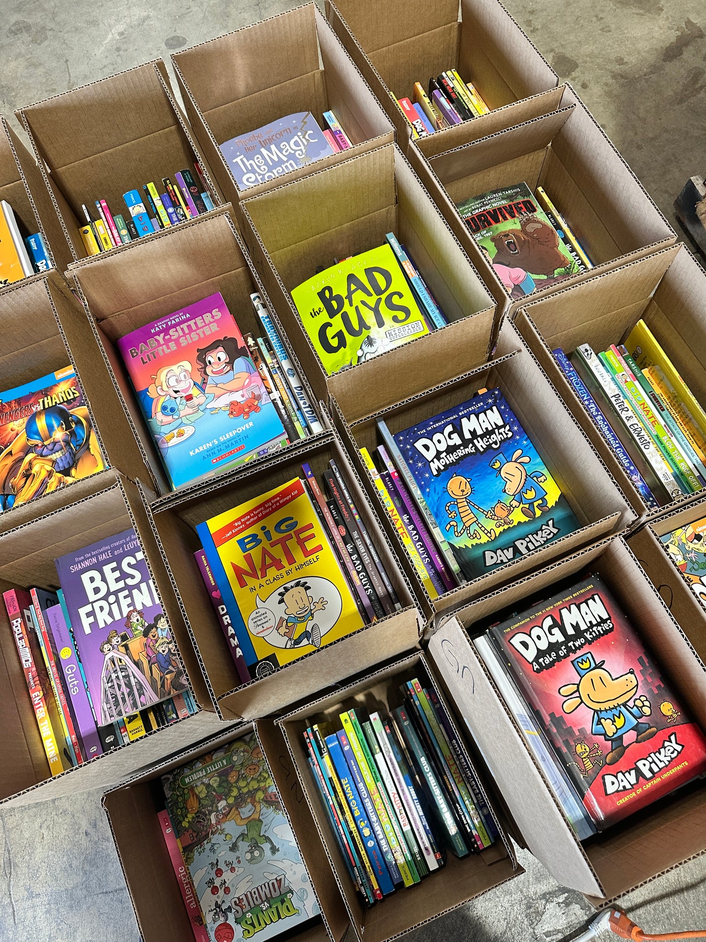 Graphic Novel Book Box (ages 8-11)